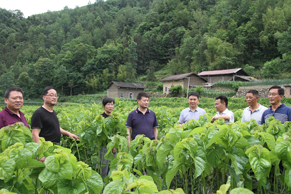 安康市商務(wù)局領(lǐng)導(dǎo)來我公司調(diào)研春蠶收購及扶貧點蠶?；亟ㄔO(shè)情況